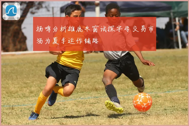 杨鸣分析雄鹿冬窗试探字母交易市场为夏季运作铺路