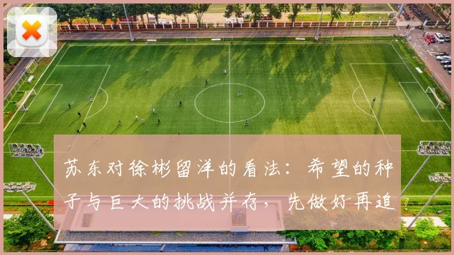 苏东对徐彬留洋的看法：希望的种子与巨大的挑战并存，先做好再追求完美