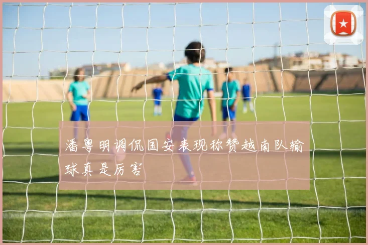 潘粤明调侃国安表现称赞越南队输球真是厉害
