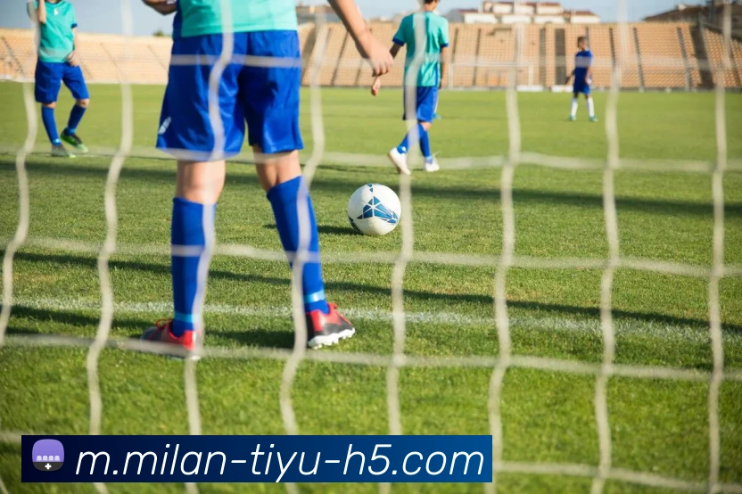 米兰体育服务体系